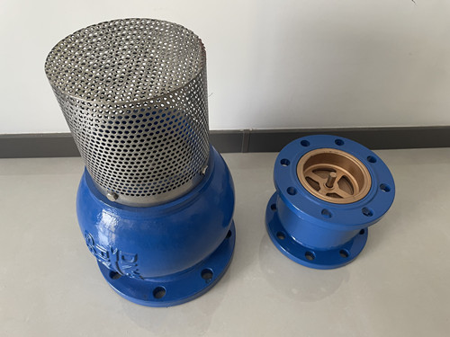 抽水底閥和止回閥進水口