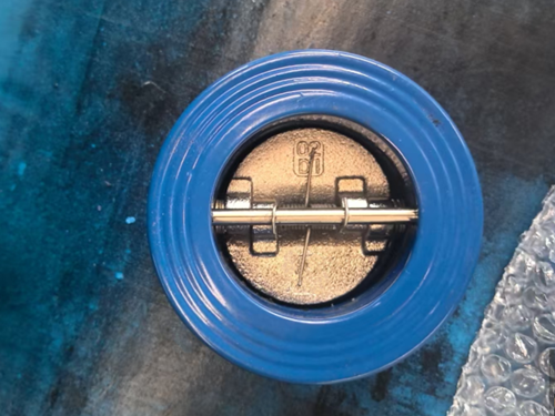 對夾式止回閥電鍍板