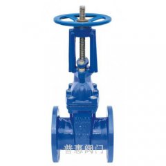 彈性座封閘閥型號(hào)怎么看懂？彈性座封閘閥型號(hào)